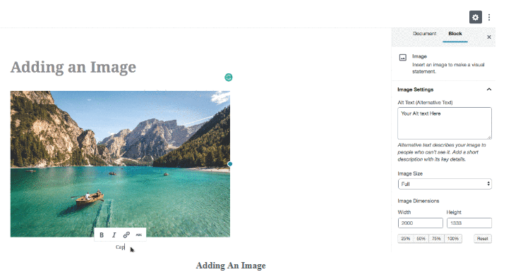 WordPress Image Block Example